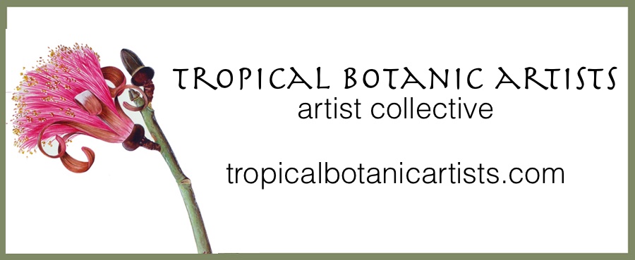 Tropical Botanic Artists