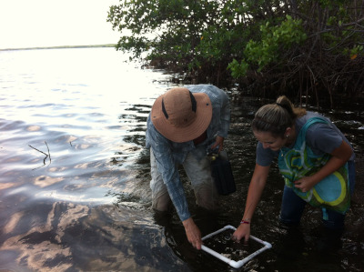 Student sampling algae in Biscayne Bay