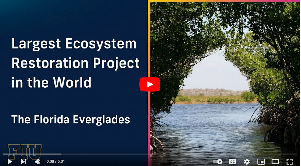FIU Everglades video