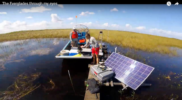 Everglades field video