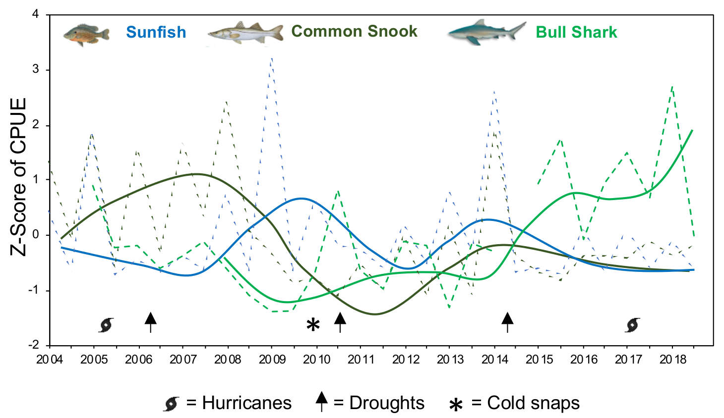 Seasonal catch per unit effort (CPUE) of dominant large estuarine consumers