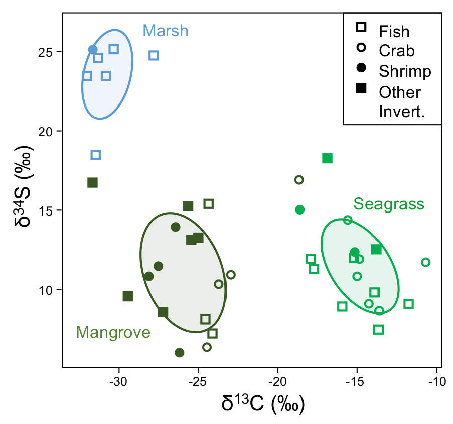 Figure -small-bodied consumers track organic matter sources