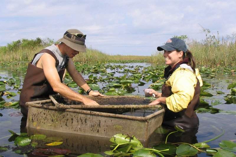 Researchers using a throw trap to sample small fish.