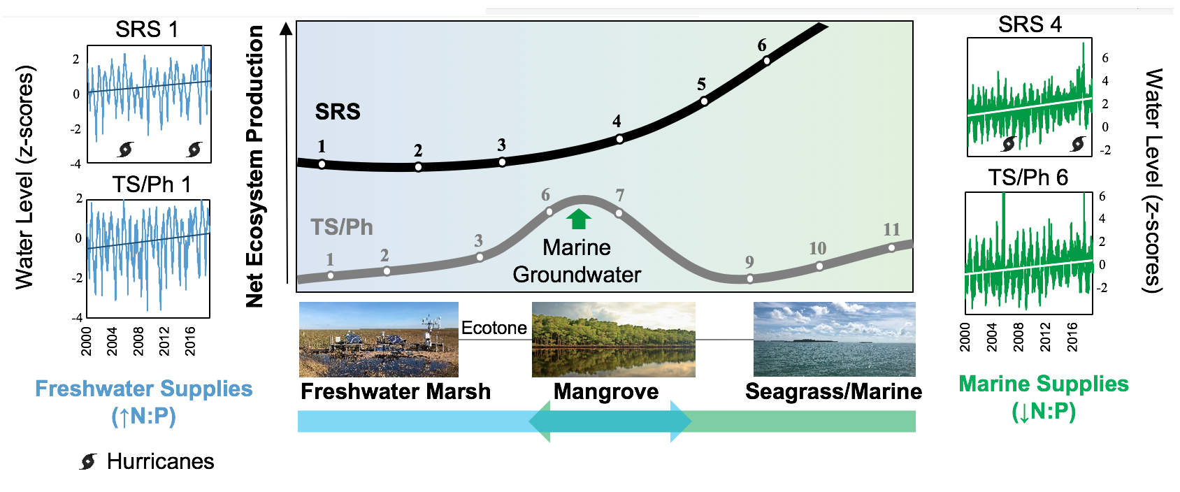 Figure showing how gradients of net ecosystem production differ between the two FCE drainages 