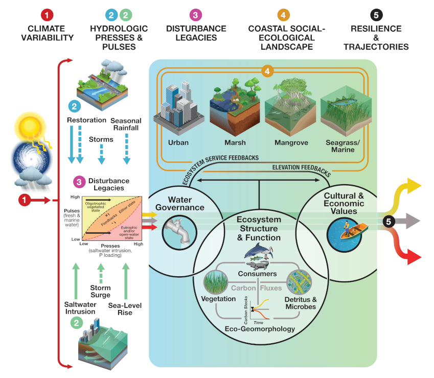 FCE V conceptual framework