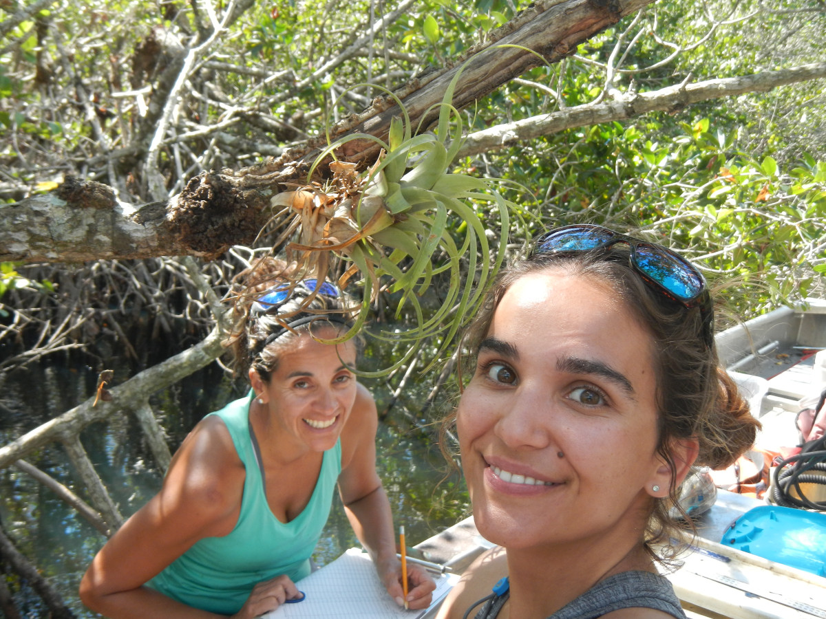Recent FCE M.S. graduate Natasha Viadero and Dr. Jennifer Rehage working up fish catches from an electrofishing transect in the mangrove-lined creeks of the Rookery Branch in the upper Shark River