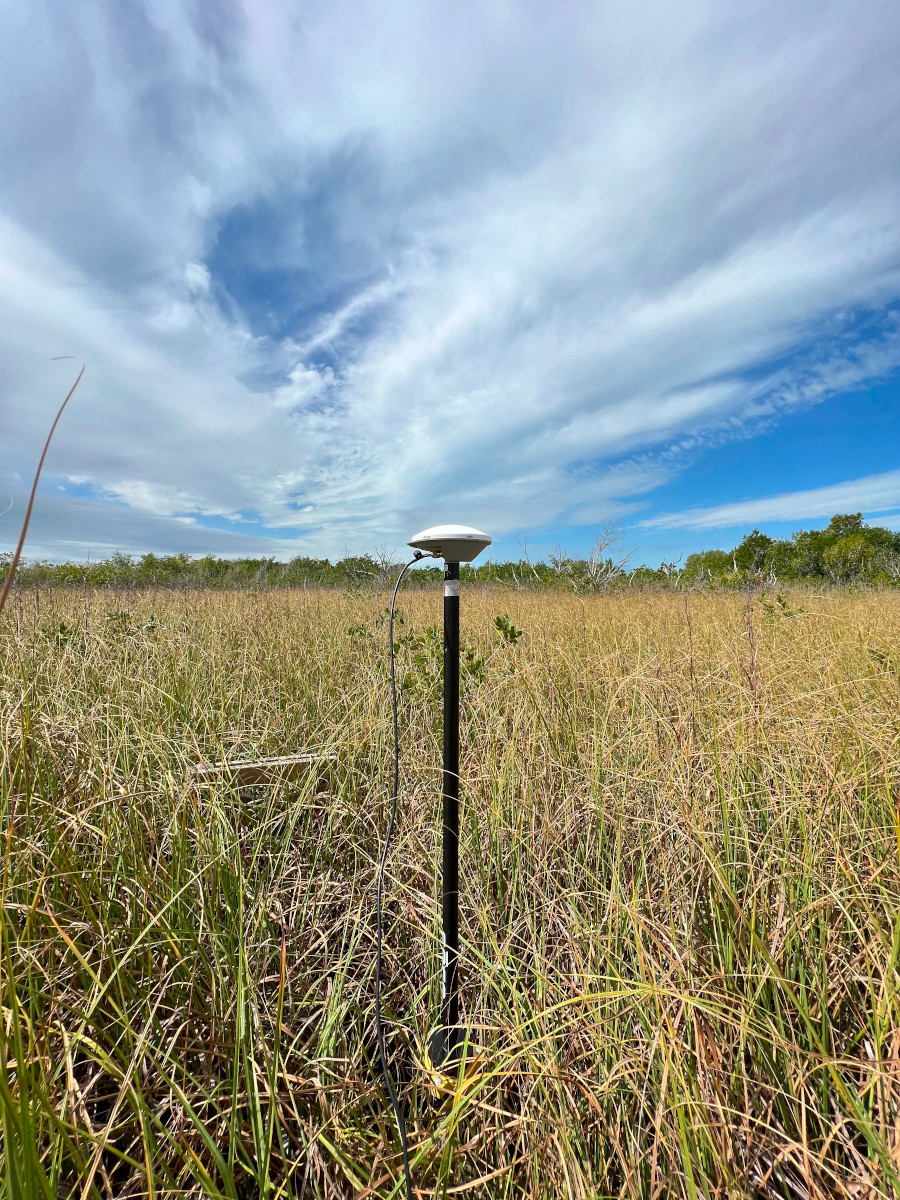 Everglades Phone Home. A lone Trimble stands at attention amidst a field of sawgrass while communicating with space-borne satellites