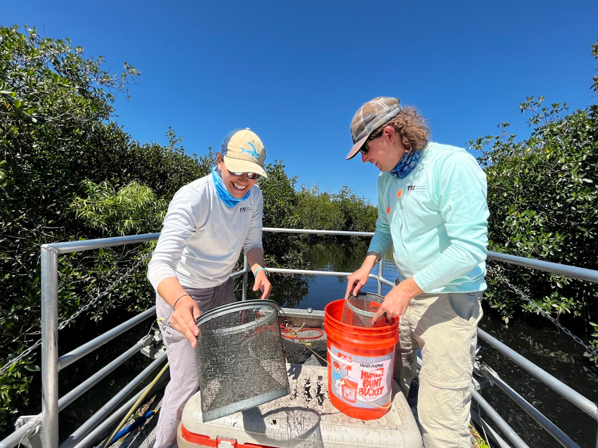 Dr. Jennifer Rehage and Jordan Massie sampling in Shark River